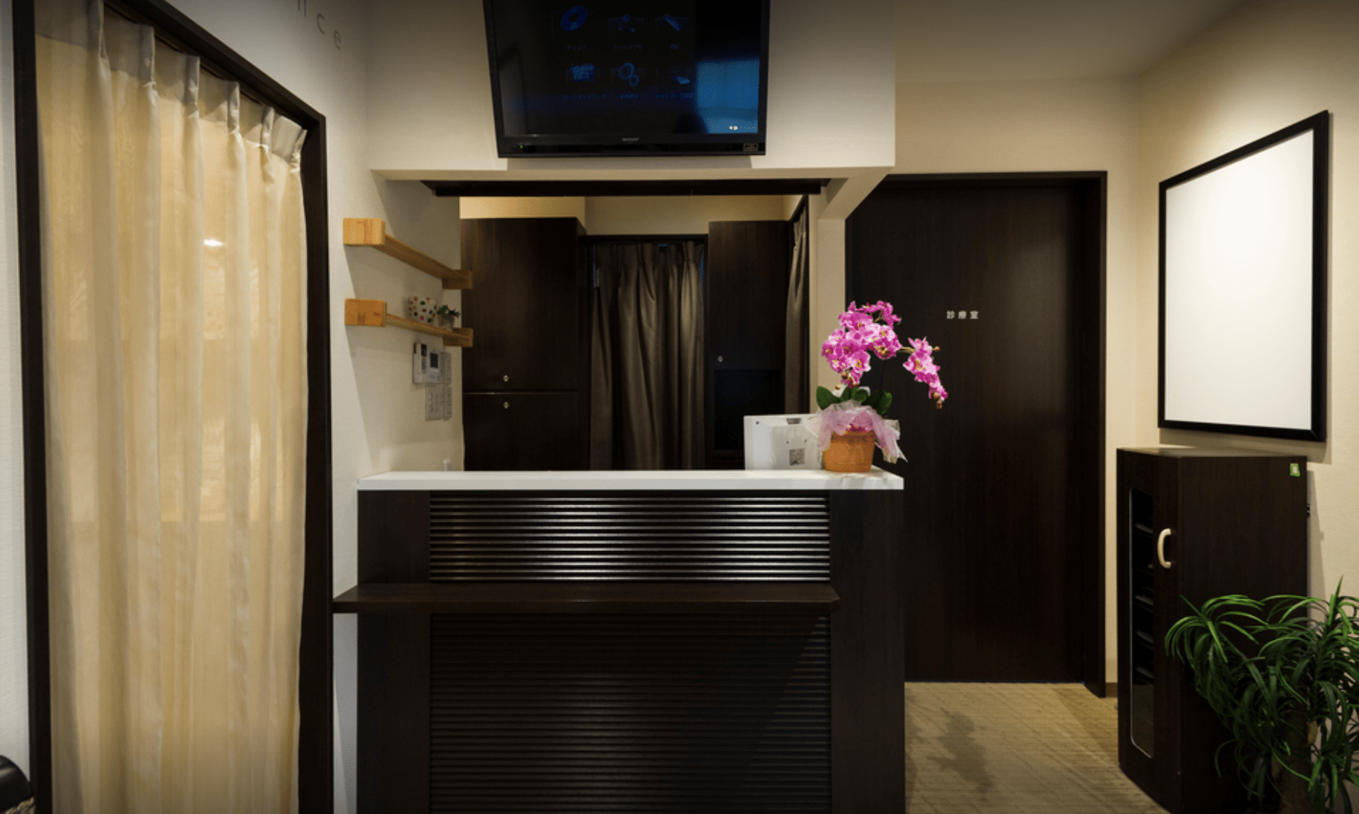 ホワイトエッセンス加盟院（平塚海岸）